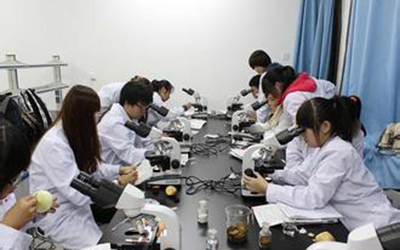 成都卫生学校护理专业怎么样